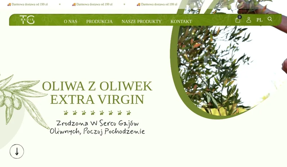badistg.com screenshot